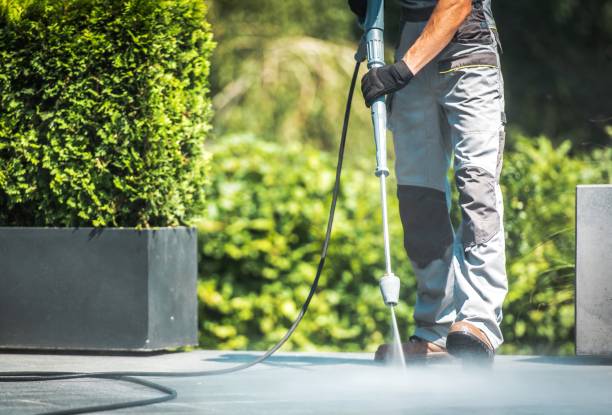 Best Sidewalk and Walkway Cleaning  in Darmstadt, IN