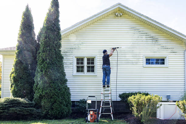 Trusted Darmstadt, IN Pressure Washing Services Experts